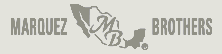 mbi_logo_gray2