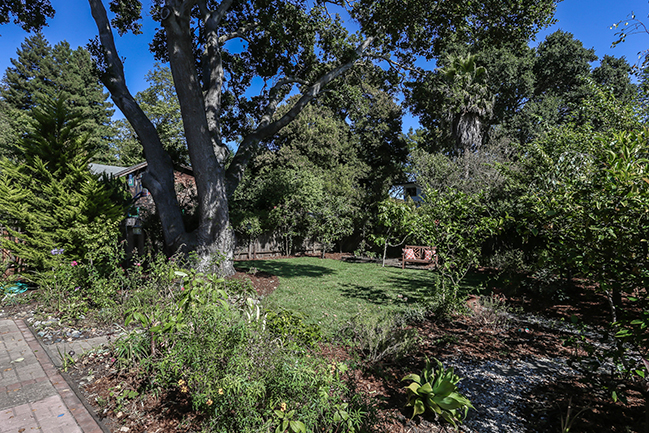 yard after_RESIZE