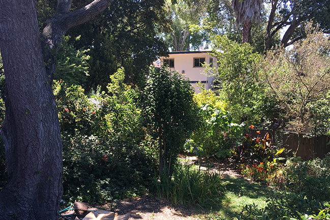 yard before_RESIZE